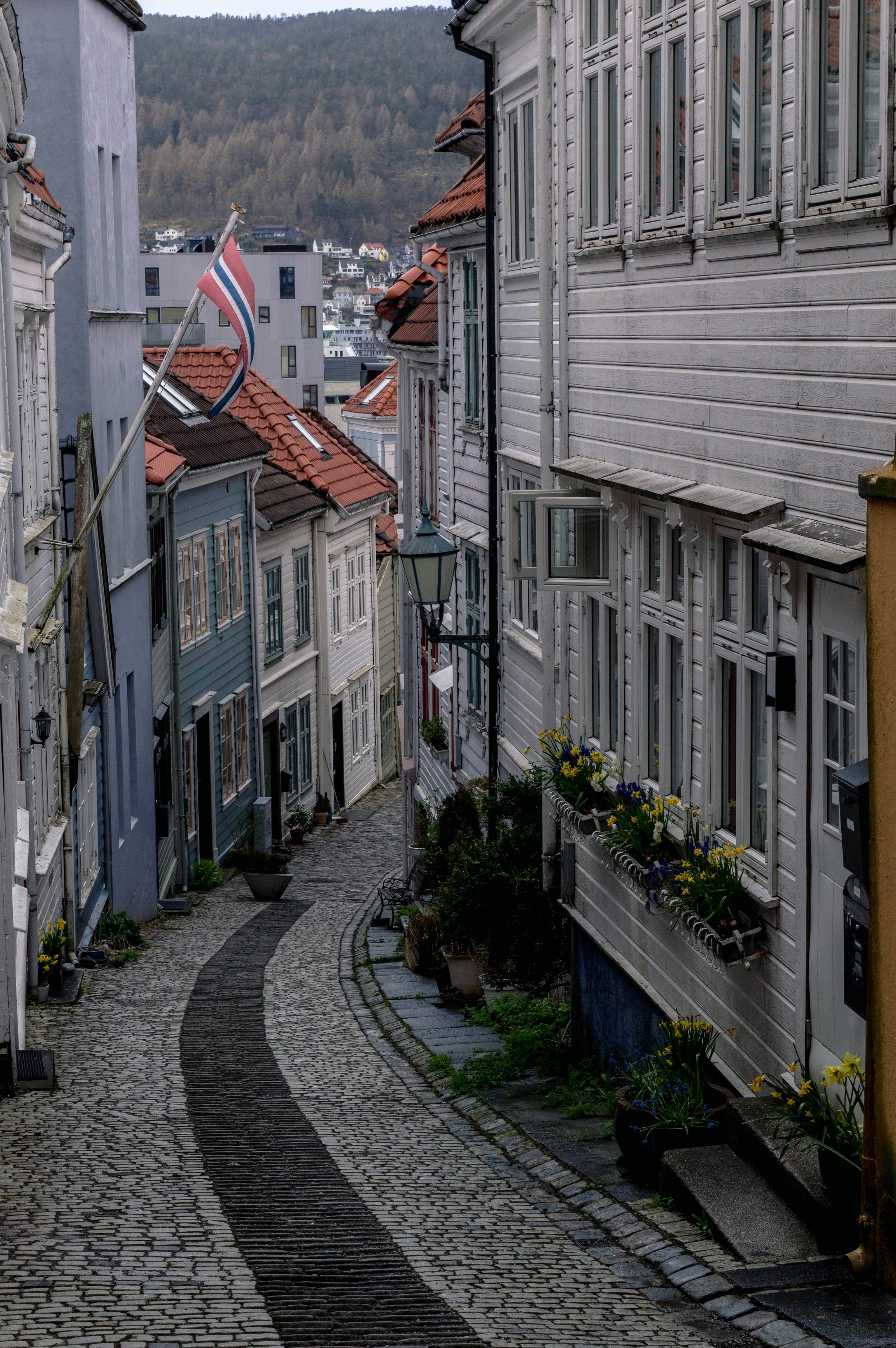 Gatemiljø i Bergen med trehus og flagg